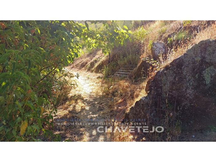 Image No.58-Ferme de 5 chambres à vendre à Figueiró dos Vinhos