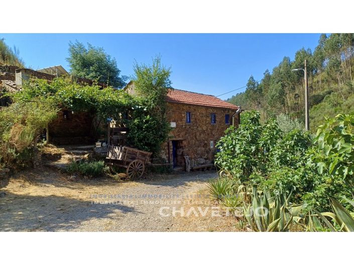 Image No.66-Ferme de 5 chambres à vendre à Figueiró dos Vinhos