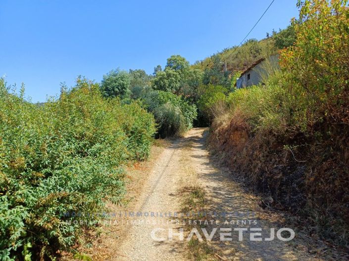 Image No.67-Ferme de 5 chambres à vendre à Figueiró dos Vinhos