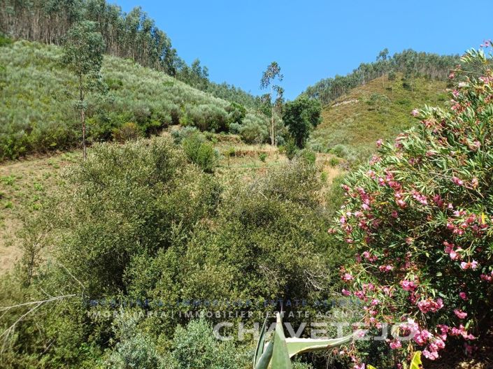 Image No.68-Ferme de 5 chambres à vendre à Figueiró dos Vinhos