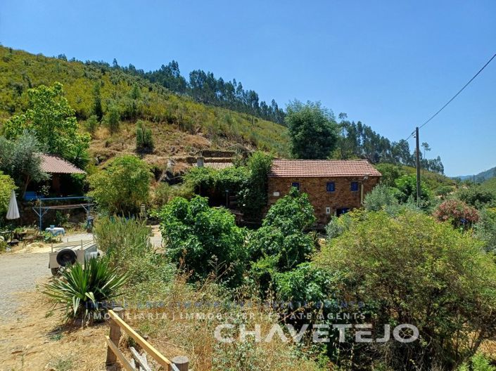 Image No.72-Ferme de 5 chambres à vendre à Figueiró dos Vinhos