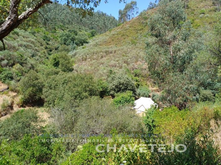 Image No.76-Ferme de 5 chambres à vendre à Figueiró dos Vinhos