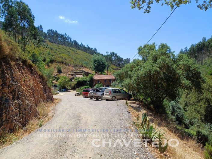 Image No.77-Ferme de 5 chambres à vendre à Figueiró dos Vinhos
