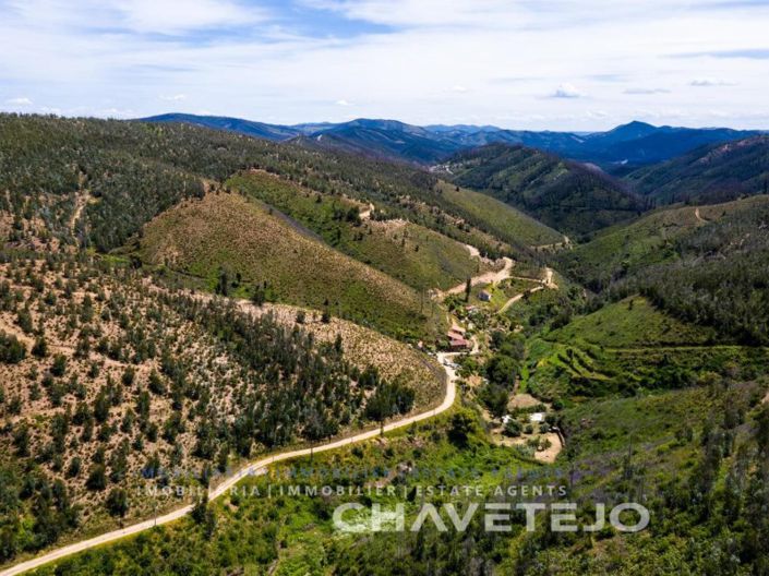 Image No.79-Ferme de 5 chambres à vendre à Figueiró dos Vinhos