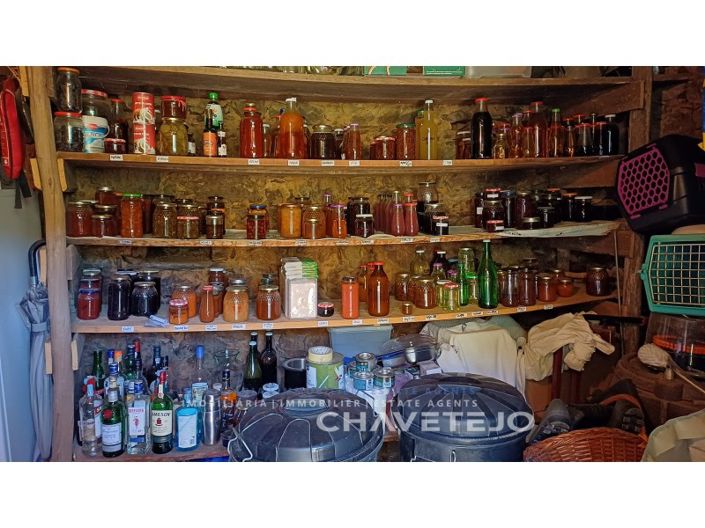 Image No.9-Ferme de 5 chambres à vendre à Figueiró dos Vinhos