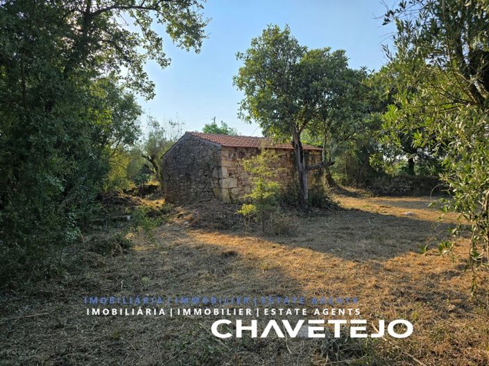 Image No.11-Plot for sale