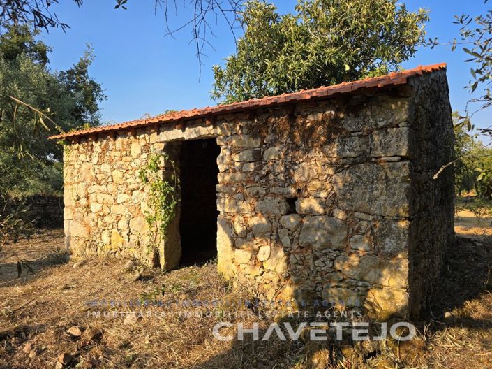 Image No.20-Plot for sale