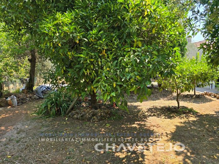 Image No.47-3 Bed House for sale