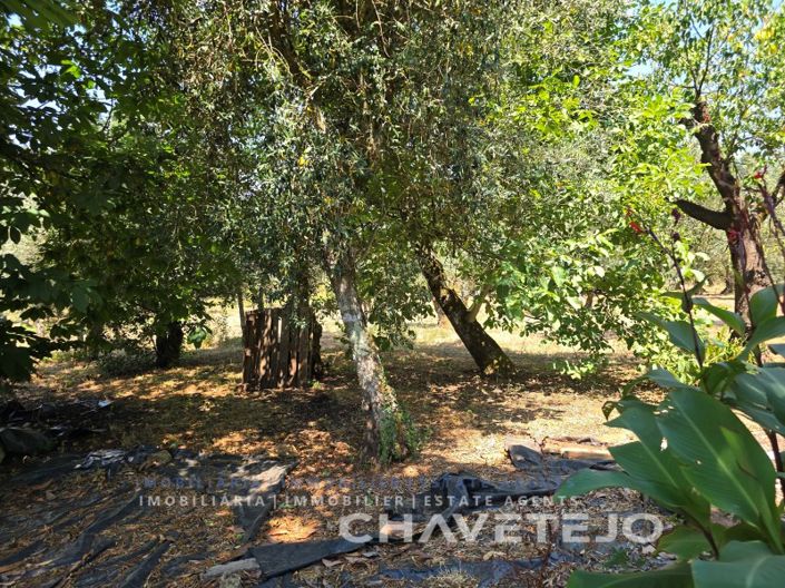 Image No.52-3 Bed House for sale