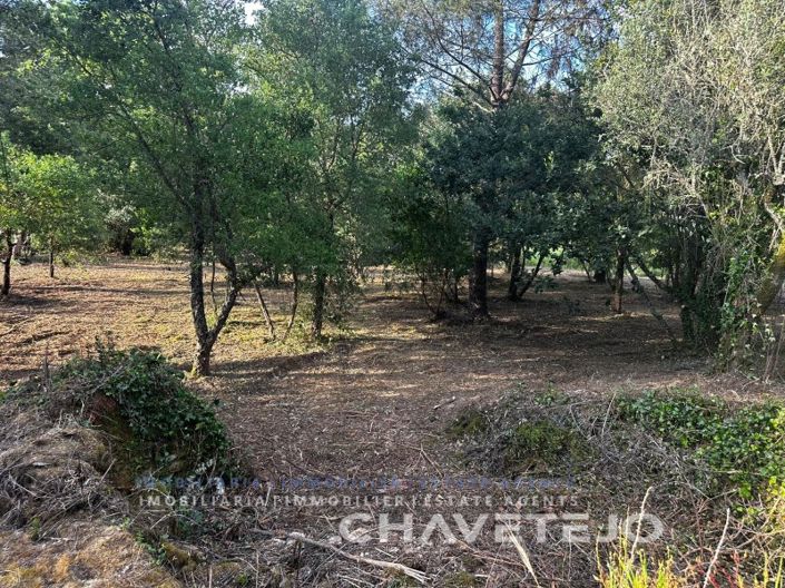 Image No.2-Plot for sale