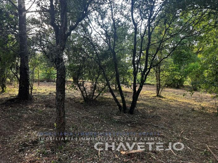 Image No.3-Plot for sale