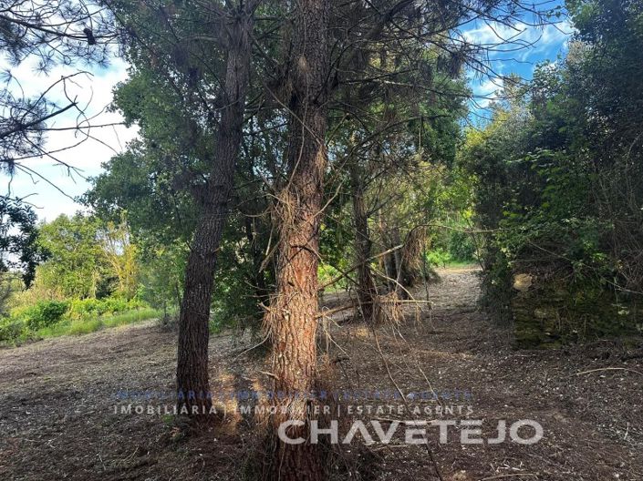 Image No.4-Plot for sale