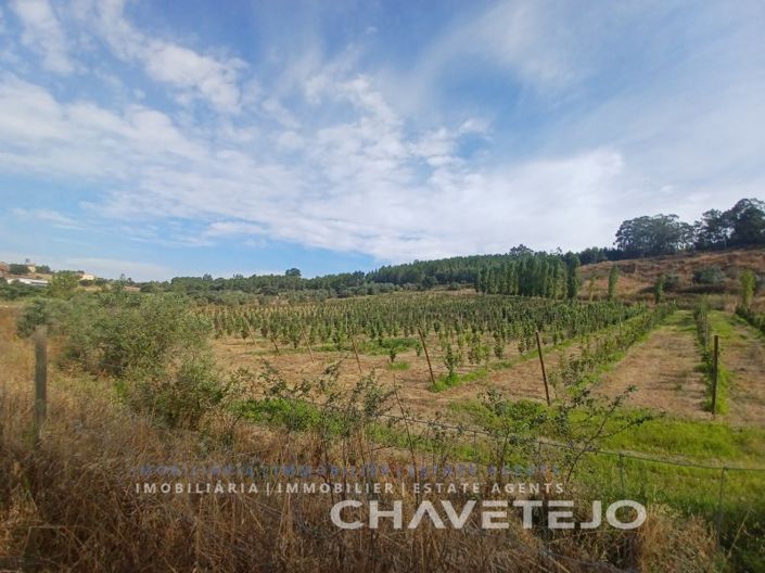 Image No.1-Farmhouse for sale