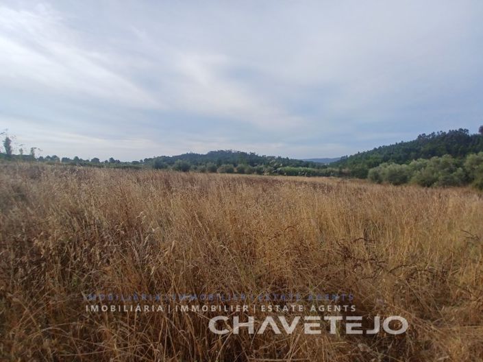 Image No.10-Farmhouse for sale