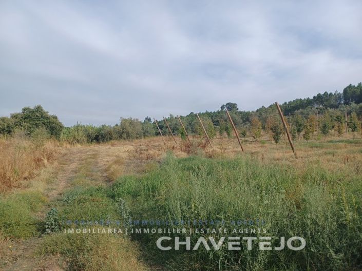 Image No.11-Farmhouse for sale