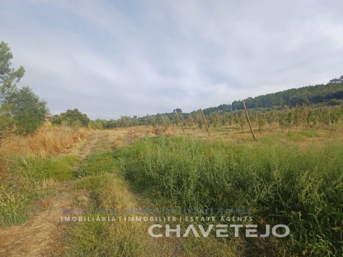 Image No.12-Farmhouse for sale