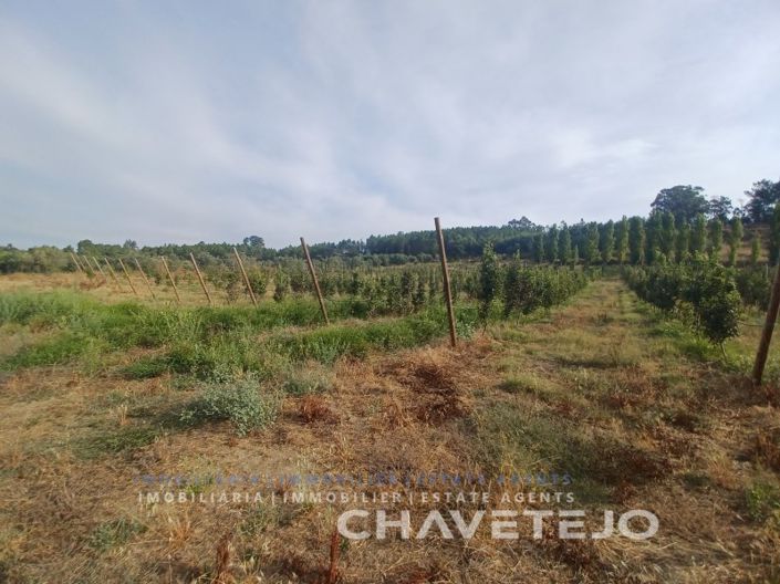 Image No.14-Farmhouse for sale