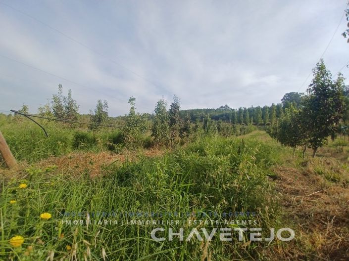 Image No.15-Farmhouse for sale