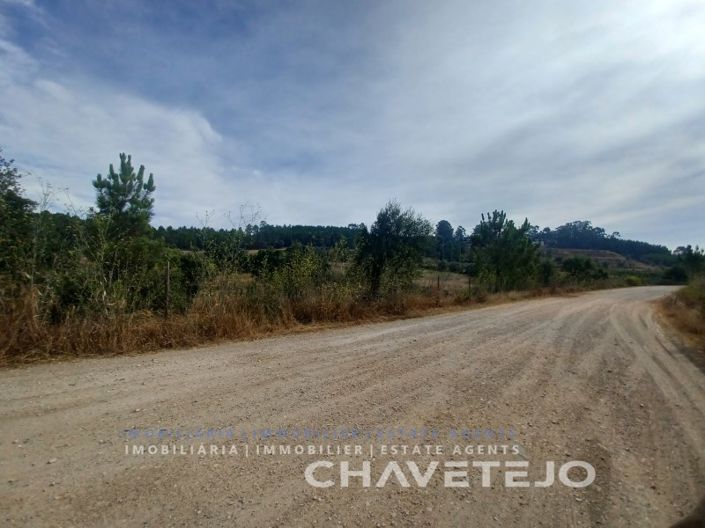 Image No.16-Farmhouse for sale