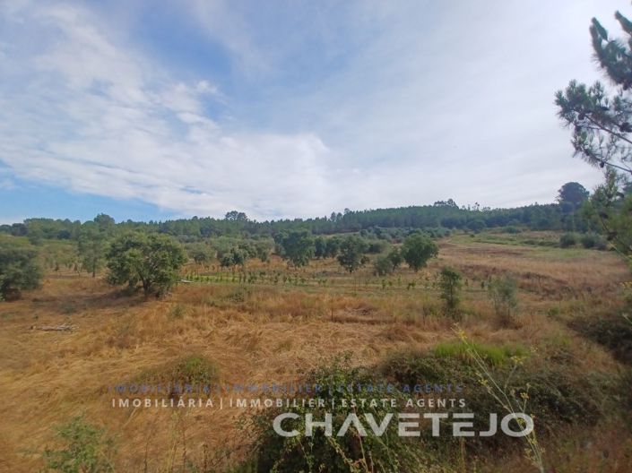 Image No.17-Farmhouse for sale