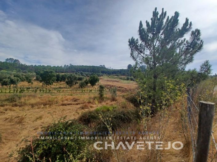 Image No.18-Farmhouse for sale