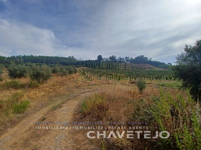 Image No.19-Farmhouse for sale