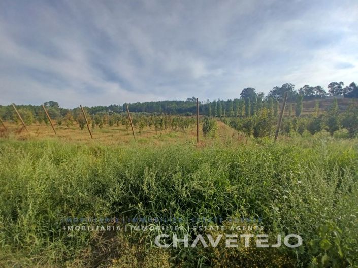 Image No.2-Farmhouse for sale