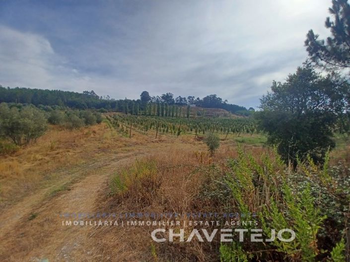 Image No.21-Farmhouse for sale