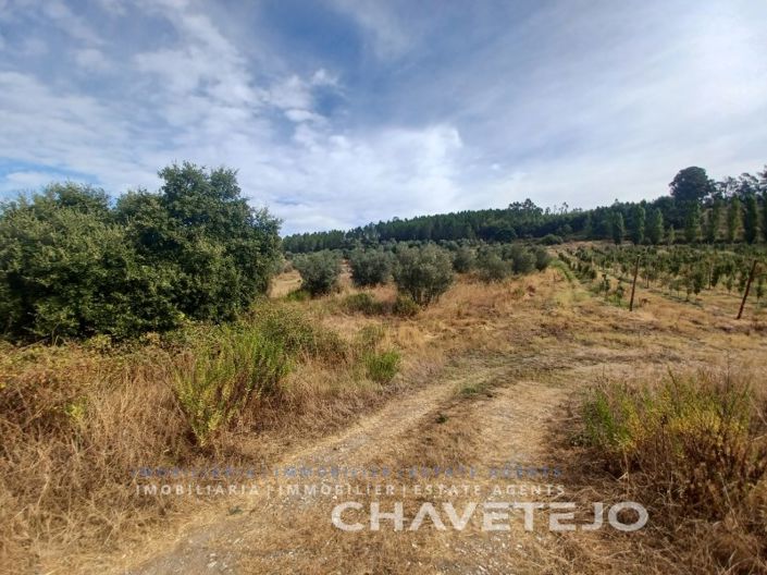 Image No.22-Farmhouse for sale