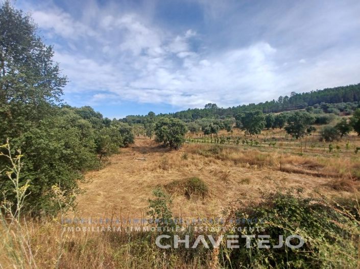 Image No.3-Farmhouse for sale