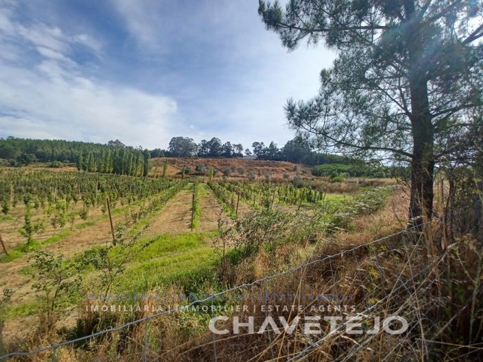 Image No.5-Farmhouse for sale