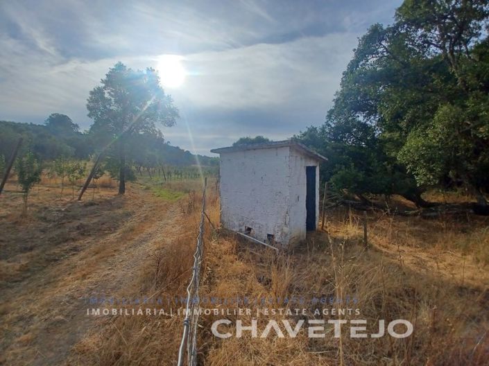 Image No.7-Farmhouse for sale