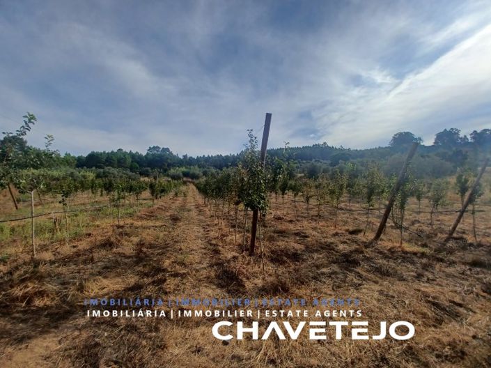 Image No.8-Farmhouse for sale