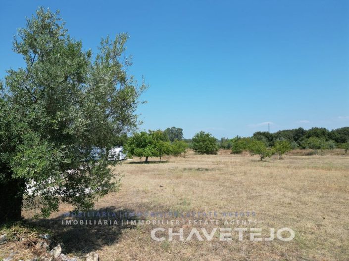 Image No.12-Plot for sale