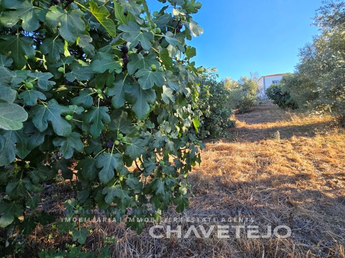 Image No.22-3 Bed House for sale