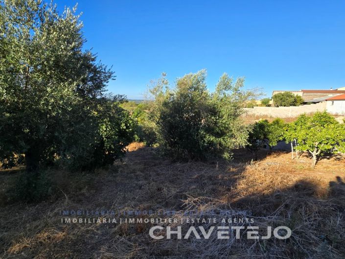 Image No.74-3 Bed House for sale