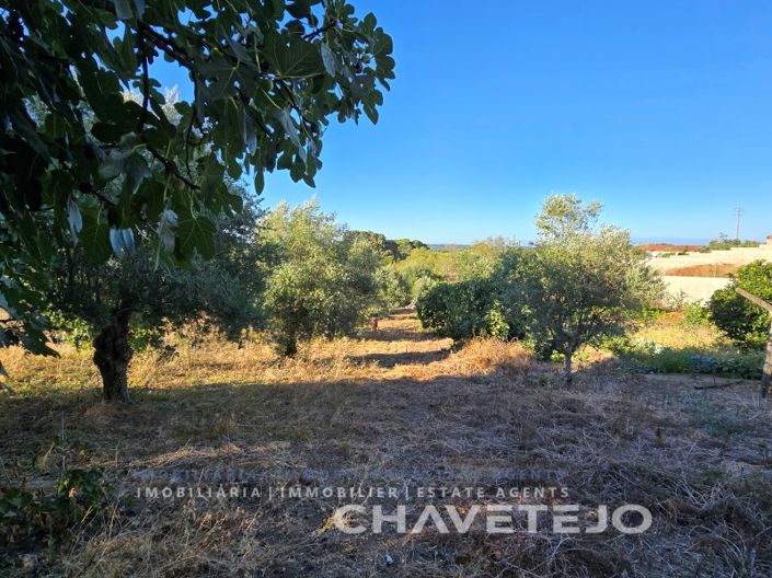 Image No.75-3 Bed House for sale