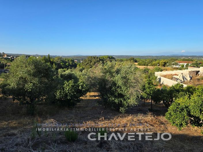 Image No.9-3 Bed House for sale