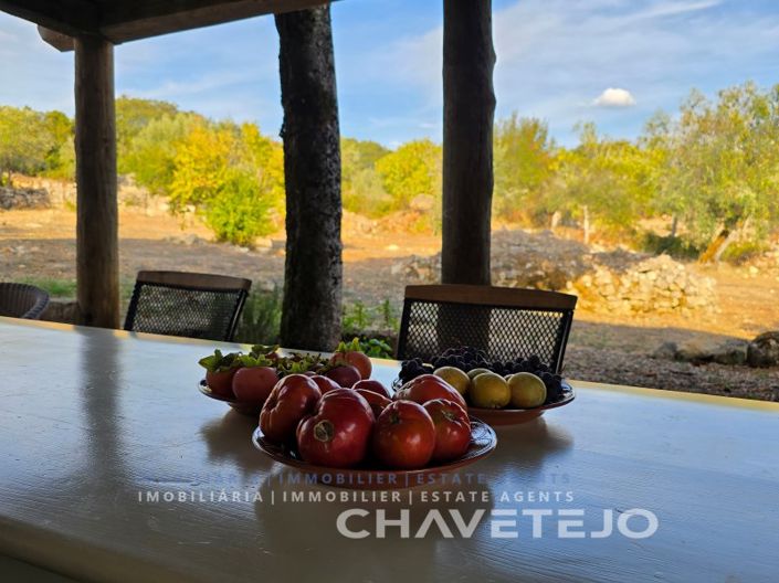 Image No.57-5 Bed House for sale