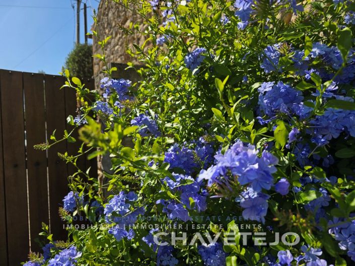 Image No.44-Maison de 3 chambres à vendre à Ferreira do Zêzere
