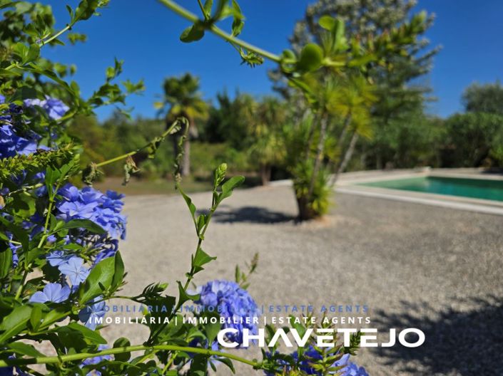 Image No.45-Maison de 3 chambres à vendre à Ferreira do Zêzere