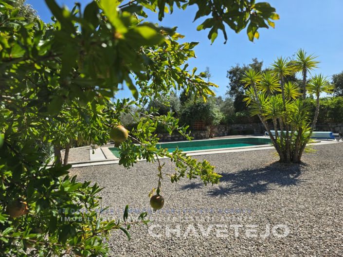 Image No.47-Maison de 3 chambres à vendre à Ferreira do Zêzere