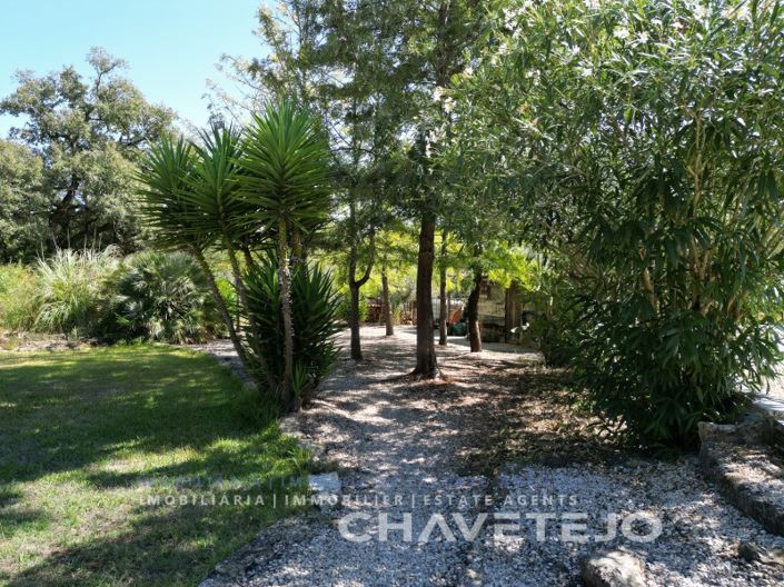 Image No.58-Maison de 3 chambres à vendre à Ferreira do Zêzere