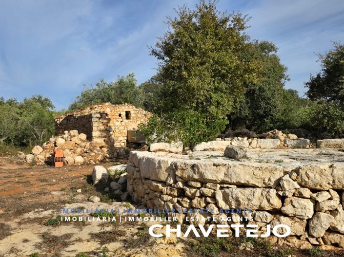 Image No.3-Maison à vendre à Ferreira do Zêzere