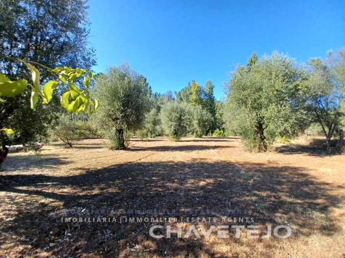 Image No.38-4 Bed House for sale