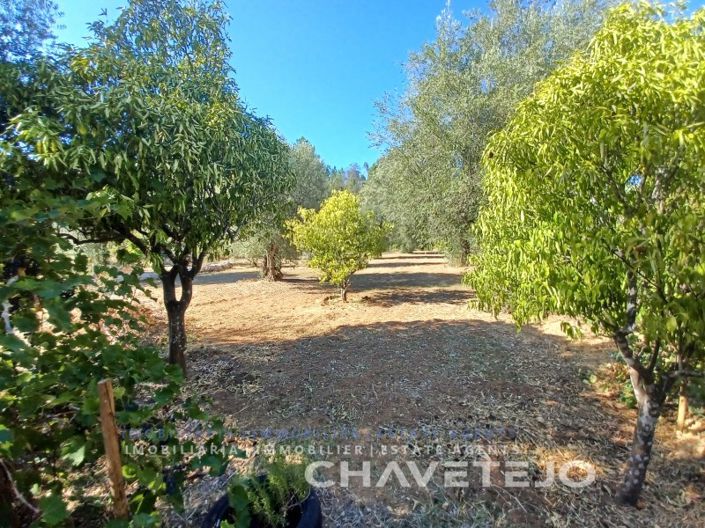 Image No.39-4 Bed House for sale