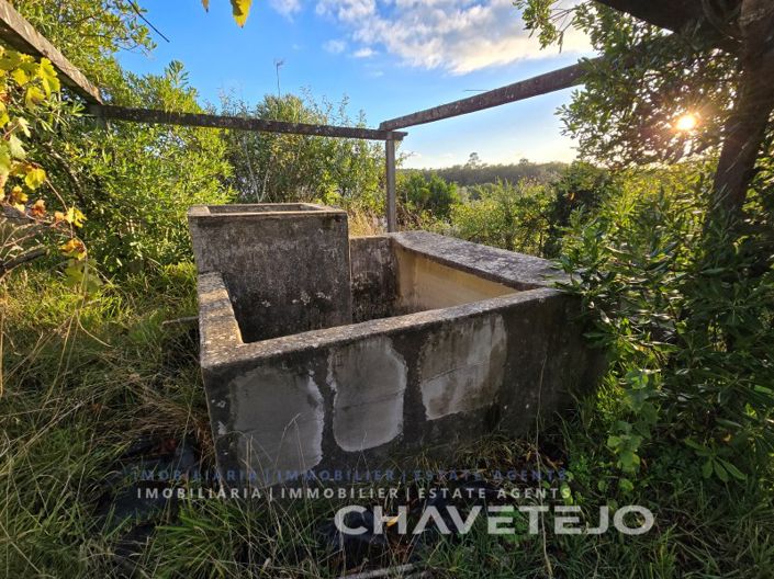 Image No.37-Maison de 3 chambres à vendre à Tomar