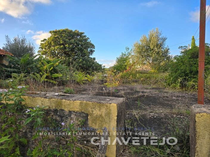 Image No.38-Maison de 3 chambres à vendre à Tomar
