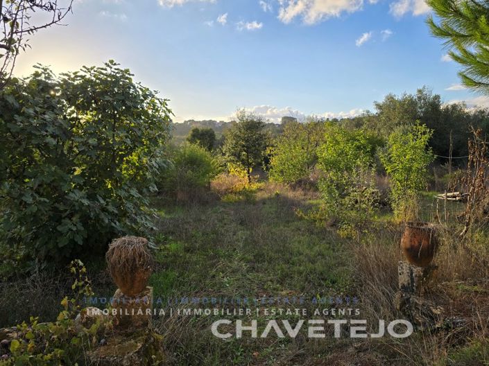 Image No.39-Maison de 3 chambres à vendre à Tomar