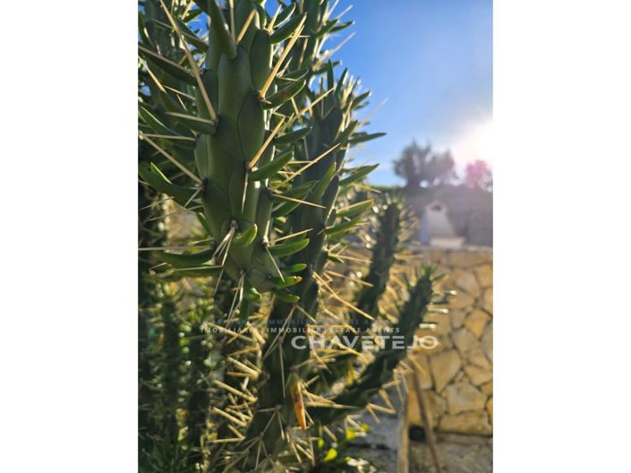 Image No.47-2 Bed House for sale